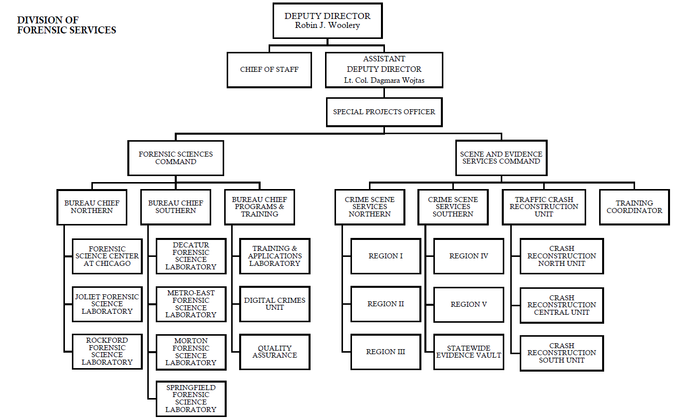 Forensics Org Chart